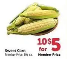Safeway Sweet Corn offer