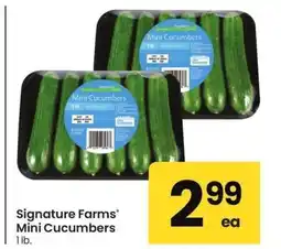 Albertsons Signature Farms Mini Cucumbers - 1 lb offer