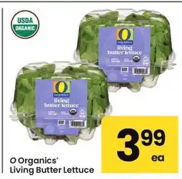 Albertsons O Organics Living Butter Lettuce offer