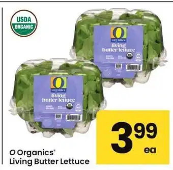 Albertsons O Organics Living Butter Lettuce offer