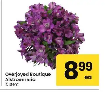 Albertsons Overjoyed Boutique Alstroemeria - 15 stem offer