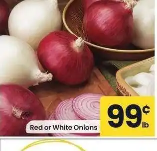 Albertsons Red or White Onions offer