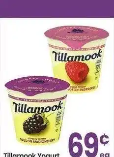 Albertsons Tillamook Yogurt - 6 oz • Selected Varieties offer