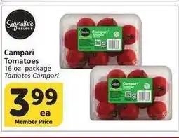 Albertsons Campari Tomatoes - 16 oz. package offer