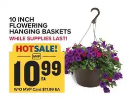 Food Lion 10 Inch Flowering Hanging Baskets offer