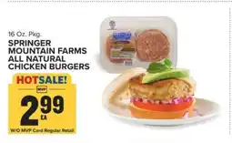 Food Lion Springer Mountain Farms All Natural Chicken Burgers offer