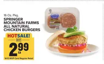 Food Lion Springer Mountain Farms All Natural Chicken Burgers offer