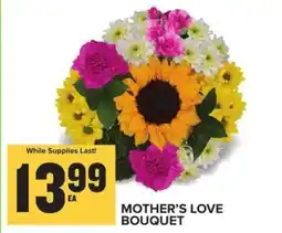 Food Lion MOTHER'S LOVE BOUQUET offer