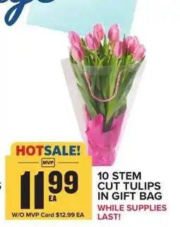 Food Lion 10 Stem Cut Tulips in Gift Bag offer