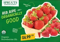 Sprouts Farmers Market Organic Strawberries offer