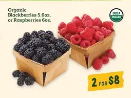 Sprouts Farmers Market Organic Blackberries 5.6oz. or Raspberries 6oz offer