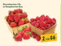 Sprouts Farmers Market Strawberries 1lb. or Raspberries 6oz offer
