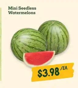 Sprouts Farmers Market Mini Seedless Watermelons offer