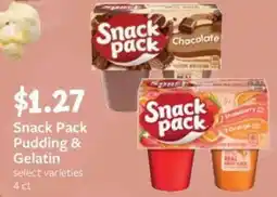 Fareway Snack pack pudding & gelatin offer