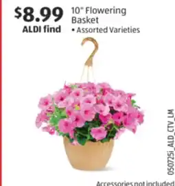 Aldi 10 Flowering Basket offer