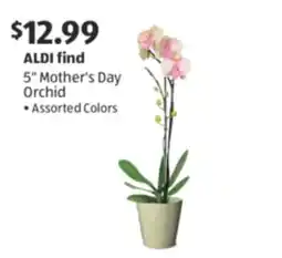 Aldi 5 Mother's Day Orchid offer