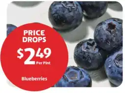 Aldi Blueberries offer