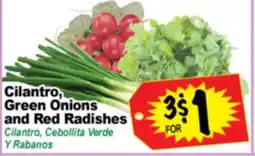 Superior Grocers Cilantro, Green Onions and Red Radishes offer