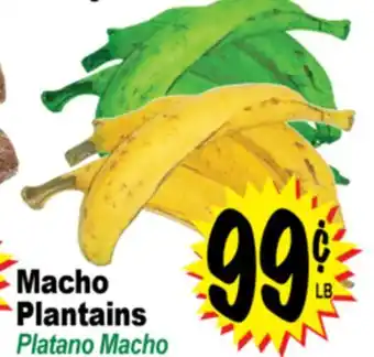 Superior Grocers Macho Plantains offer