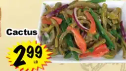 Superior Grocers Cactus offer