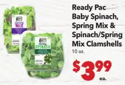 Vallarta Supermarkets Ready Pac Baby Spinach, Spring Mix & Spinach/Spring Mix Clamshells offer