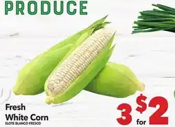 Vallarta Supermarkets Fresh White Corn / ELOTE BLANCO FRESCO offer