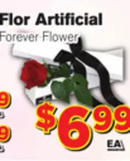 El Super Fresh Forever Flower offer