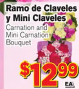 El Super Fresh Carnation Mini Carnation Bouquet offer