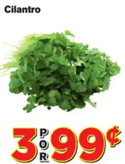 El Super Fresh Cilantro offer