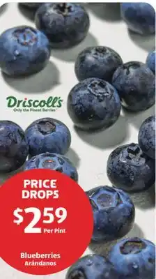 Aldi Blueberries offer