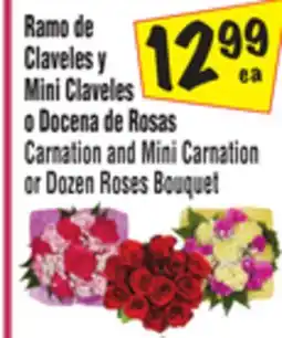 El Super Carnation and Mini Carnation or Dozen Roses Bouquet offer