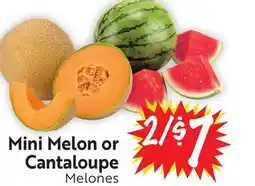 Foodmaxx Mini Melon or Cantaloupe offer