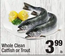 Super King Markets Whole Clean Catfish or Trout offer