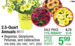 Menards 2.5-Quart Annuals offer