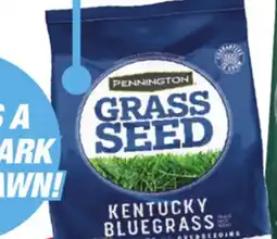 Menards Pennington Kentucky Blue Grass Seed - 3 lbs offer