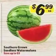 Winn Dixie Southern Grown Seedless Watermelons offer