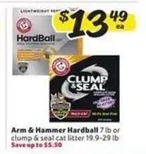 Winn Dixie Arm & Hammer Hardball or Clump & Seal Cat Litter offer