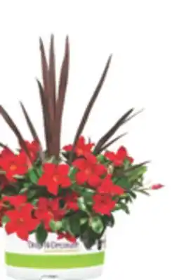 The Home Depot RIO #10 Drop-N-Decorate offer