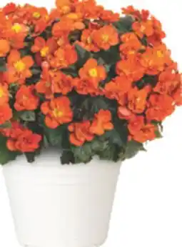 The Home Depot 10 Pomona Planter offer