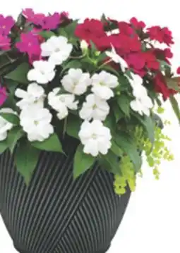 The Home Depot 13 Premier Planter offer