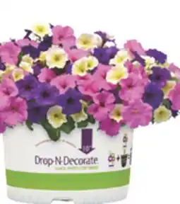 The Home Depot 10 Drop-N-Decorate offer