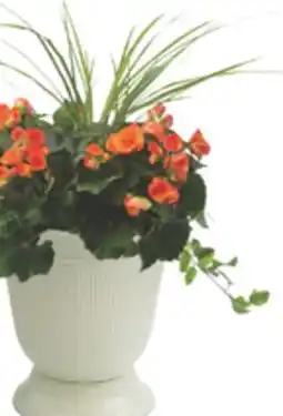 The Home Depot 12 Decorative Urn Planter offer