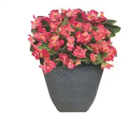 The Home Depot 14 Club Buster Planter offer