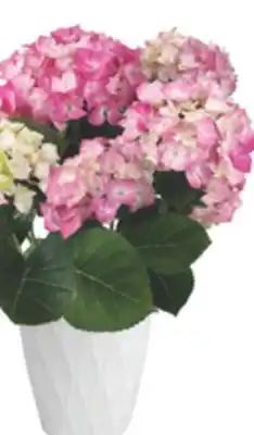 The Home Depot VIGORO 6 Floral Hydrangea offer