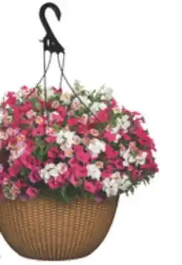 The Home Depot 12 Eastlake Hanging Basket offer