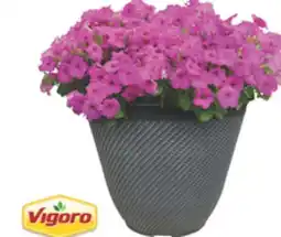 The Home Depot VIGORO #14 Planter offer