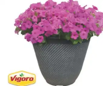 The Home Depot VIGORO #14 Planter offer