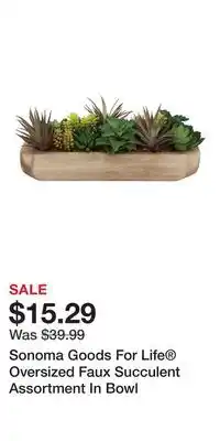Kohl's Sonoma Goods For Life Oversized Faux Succulent Assortment In Bowl offer
