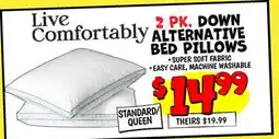 Ollie's DOWN ALTERNATIVE BED PILLOWS offer