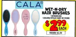 Ollie's WET-N-DRY HAIR BRUSHES offer